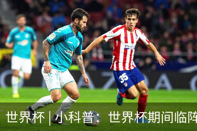 世界杯 | 小科普：世界杯期间临阵换帅，有先例吗？