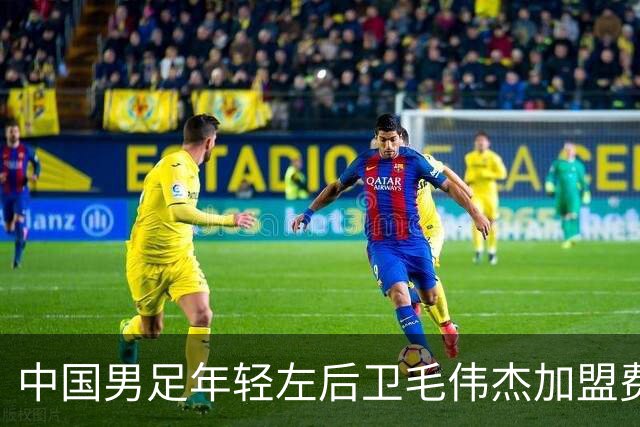 中国男足年轻左后卫毛伟杰加盟费耶诺德，首秀即绝杀引发热议