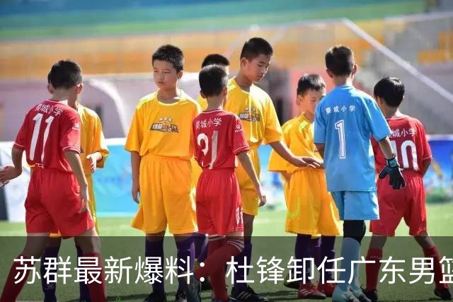 苏群最新爆料：杜锋卸任广东男篮主帅，俱乐部或将聘外教，焦泊乔有望留队